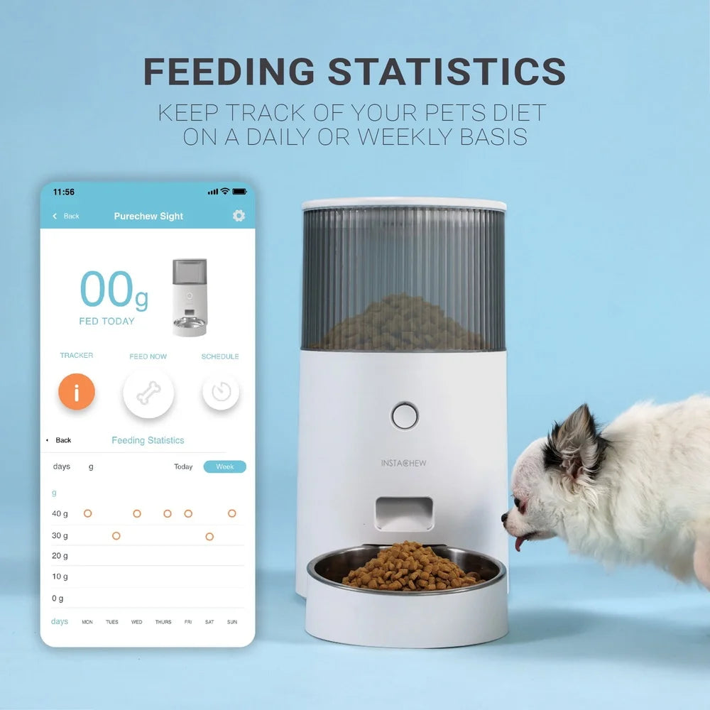 Pet feeding station with digital app on a blue background