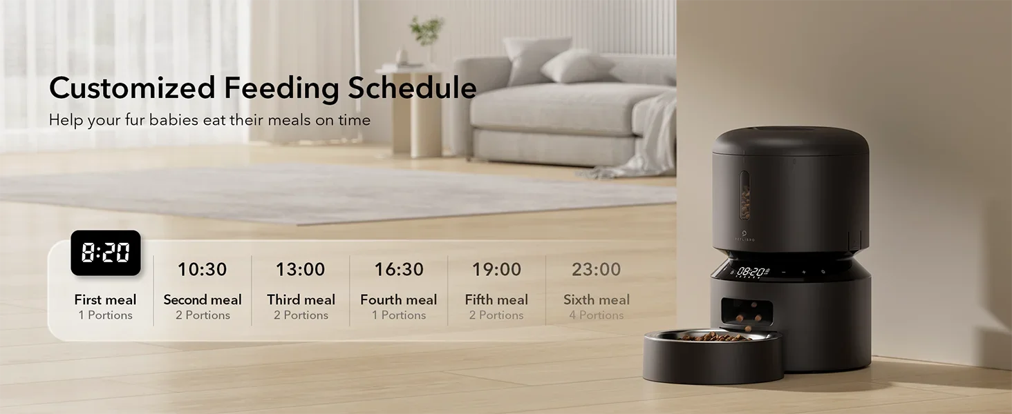 Pet feeding station with digital clock and meal schedule on a modern living room background