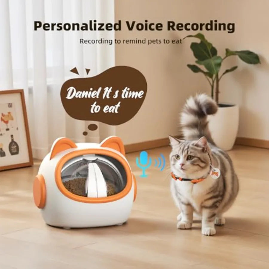 Cat next to a pet feeder with personalized voice recording feature, indoor setting.