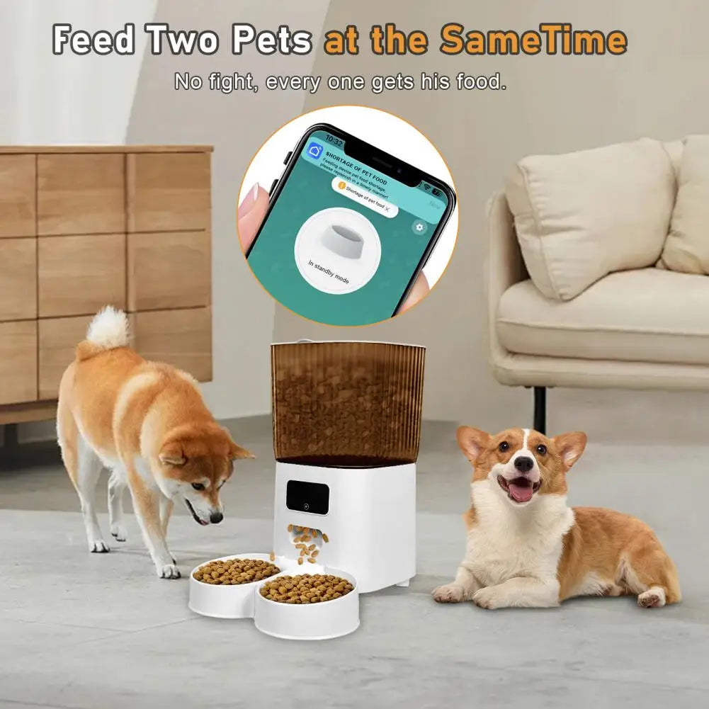 Pet feeder with two dogs and a smartphone app interface in a living room setting.