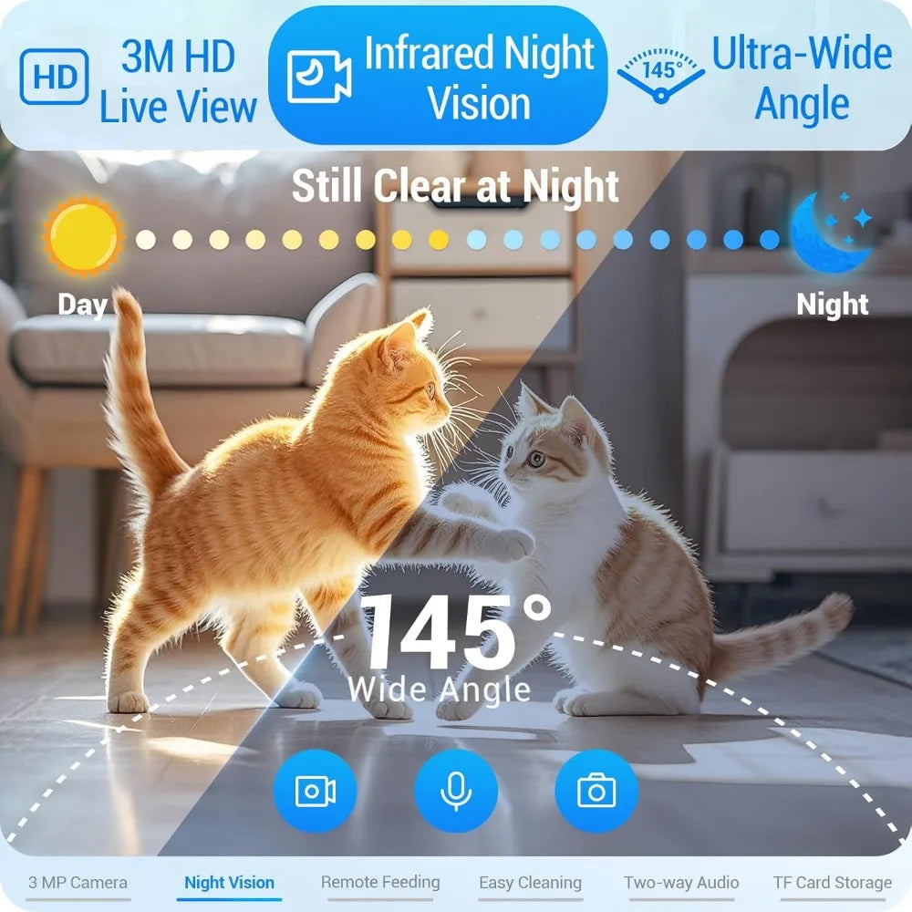 Two cats interacting on a floor with camera features highlighted
