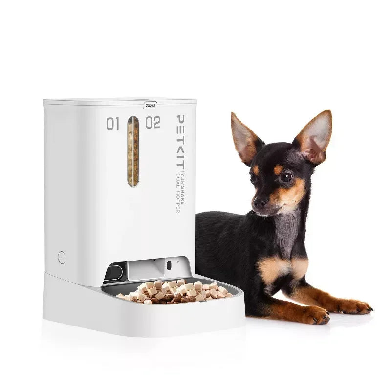 Dog next to a modern pet feeder on a white background