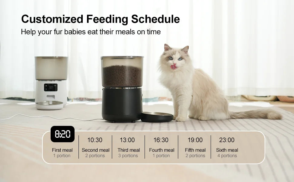 Cat next to a pet feeder with a customized feeding schedule displayed.