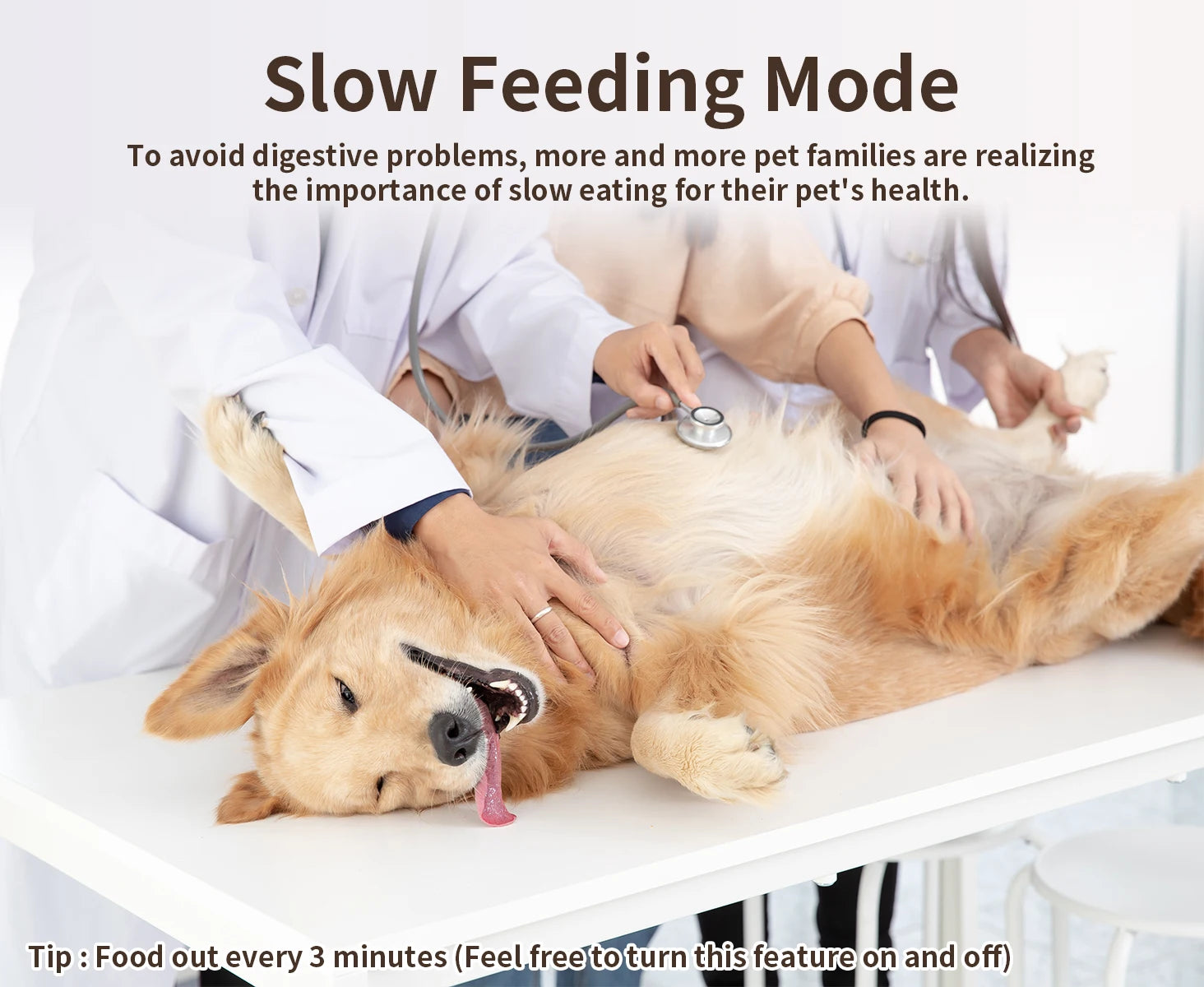 Dog being examined by a veterinarian with text about slow feeding mode for pets' health.
