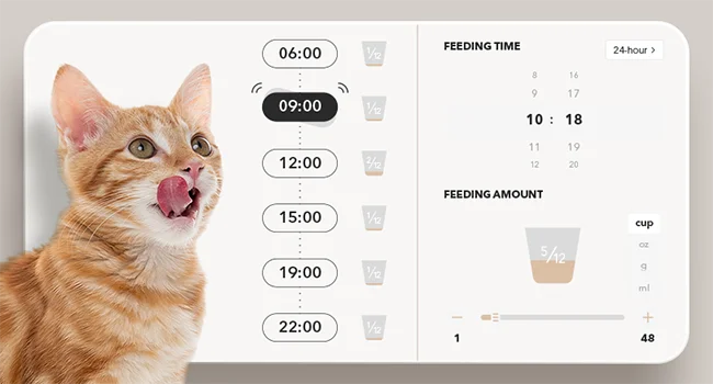 Cat next to a digital pet feeder app interface on a gray background