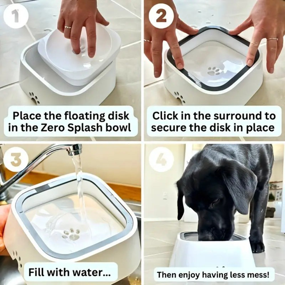 Step-by-step guide on using a pet water bowl with a floating disk to reduce mess.